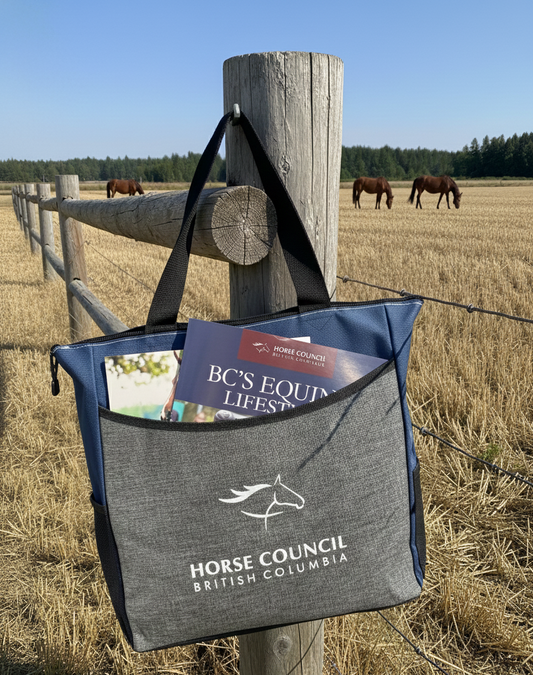 Heathered Two-Tone Tote