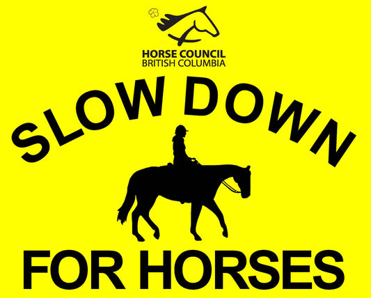 "Slow Down For Horses" Sign