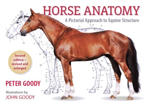 Horse Anatomy, a Pictorial Approach