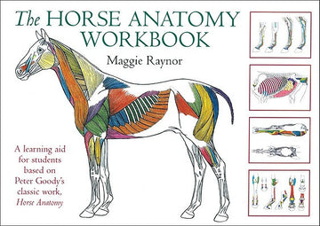 The Horse Anatomy Workbook by Maggie Raynor